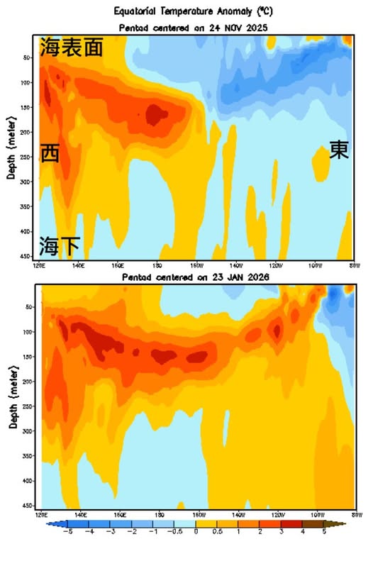 3月罕現3號颱風鸚鵡！專家預警2026成「超強颱風大年」 點名4大高危區