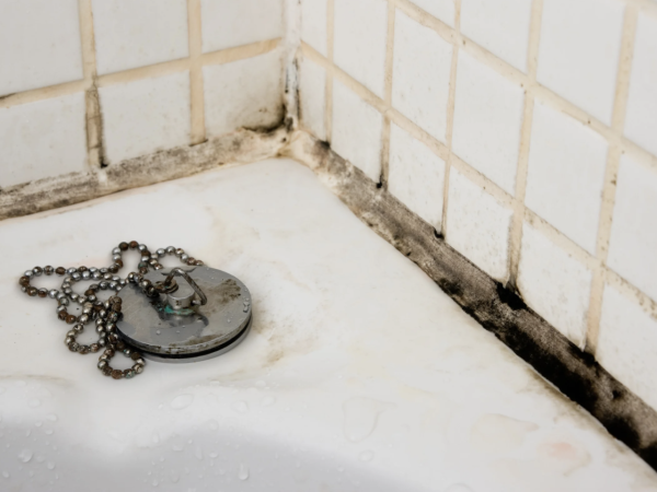 大掃除後發燒17日「腦穿20個洞」少女險變植物人！醫生揭1個物質係致命元兇