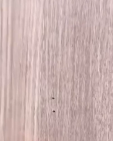 $3「蠟筆」快速修補傢俬！網民實測刮花唔使換：地板/桌椅凹陷秒消失