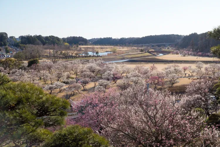 圖片:日本國家旅遊局 圖片:日本國家旅遊局