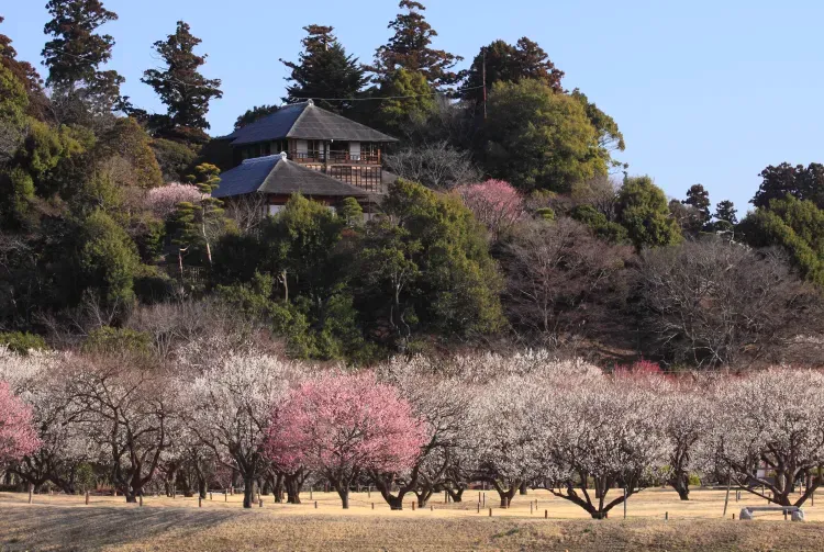 圖片:日本國家旅遊局 圖片:日本國家旅遊局