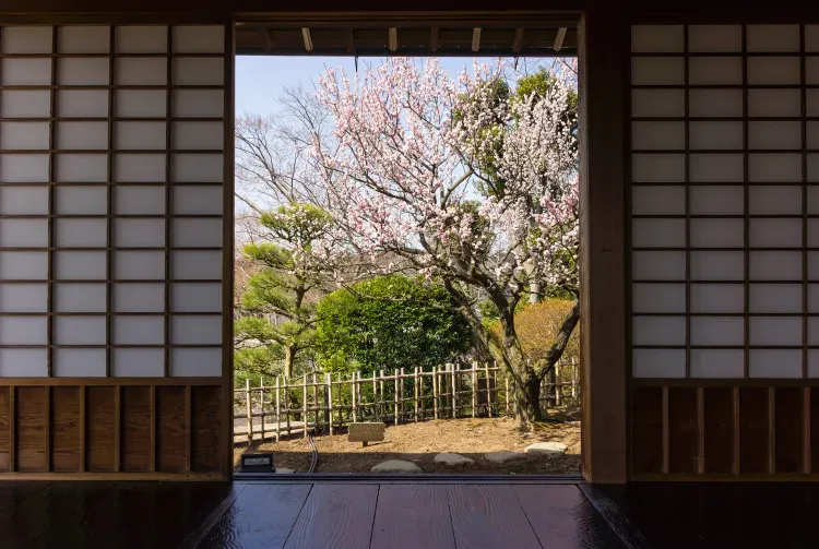 圖片:日本國家旅遊局 圖片:日本國家旅遊局