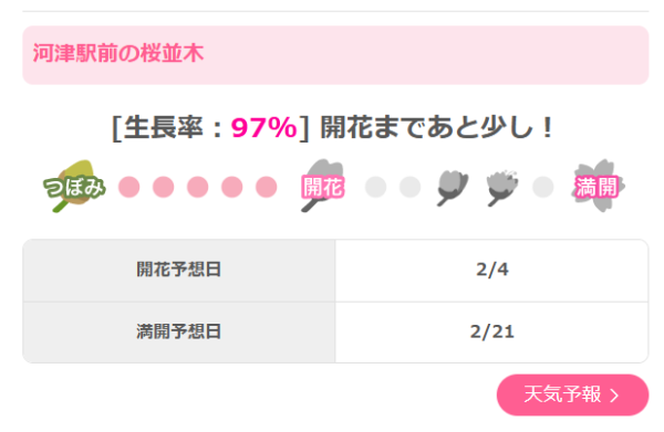 【2026日本旅遊活動】2月日本好去處必去7大熱點!札幌雪祭、河津櫻粉紅花海、朝聖東京PokéPark KANTO