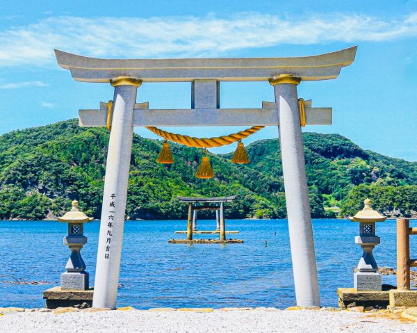 照片來源：小紅書@賽博橄欖