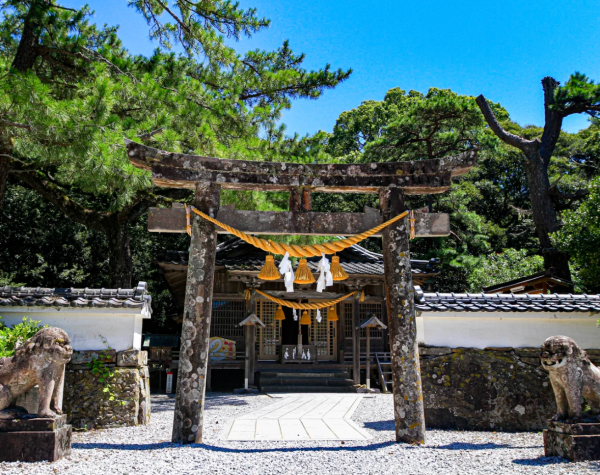 照片來源：小紅書@賽博橄欖