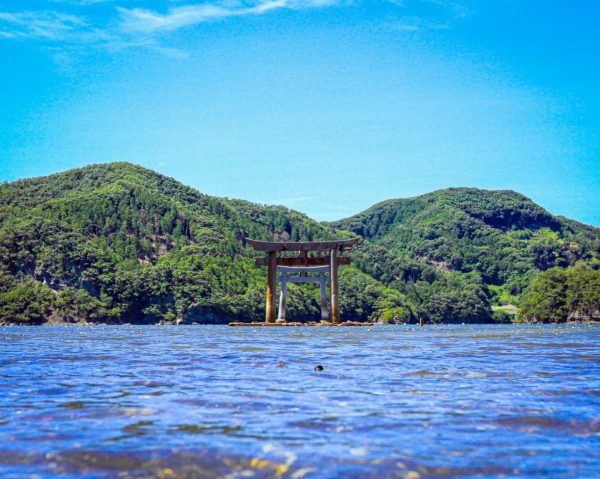 照片來源：小紅書@賽博橄欖