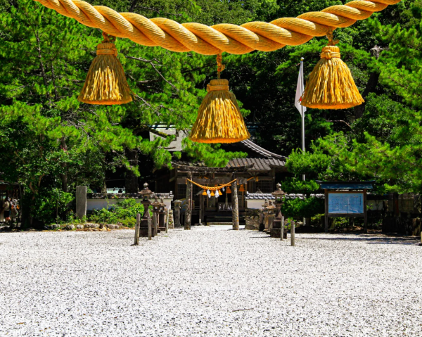 照片來源：小紅書@賽博橄欖