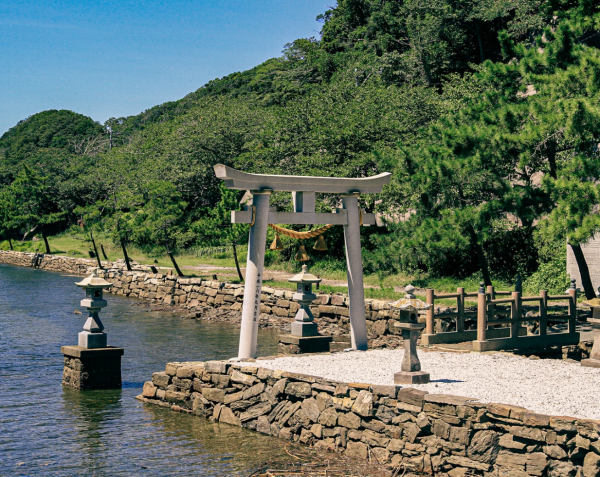 照片來源：小紅書@賽博橄欖