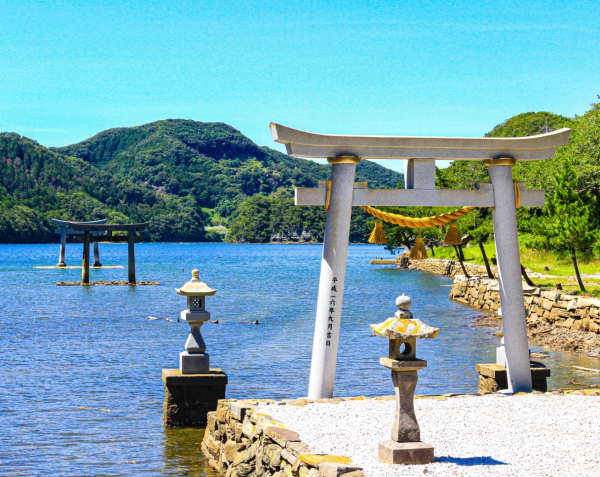 照片來源：小紅書@賽博橄欖