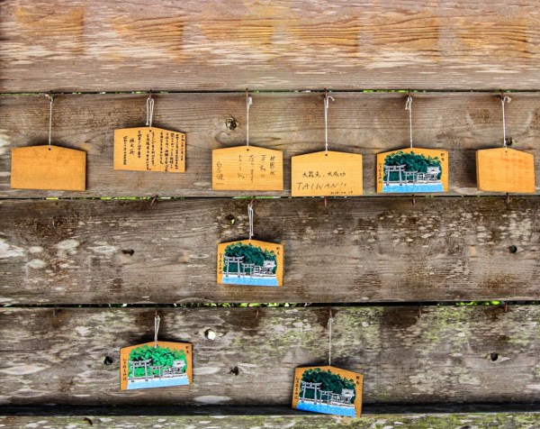 照片來源：小紅書@賽博橄欖