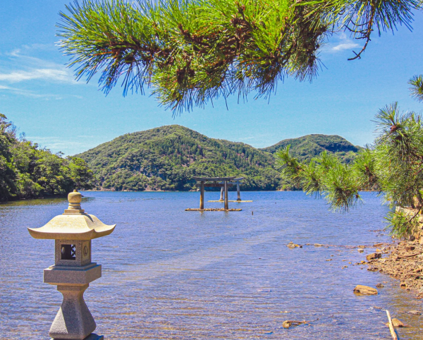 照片來源：小紅書@賽博橄欖