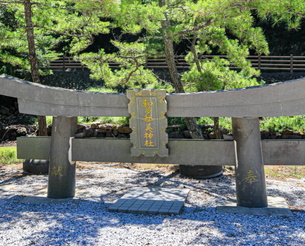 照片來源：小紅書@賽博橄欖