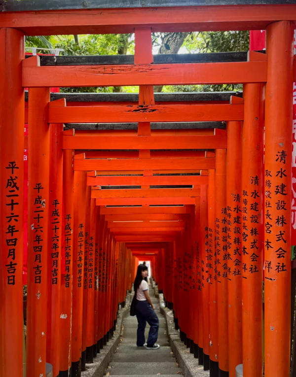 照片來源：小紅書@夏青森