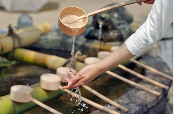 照片來源：小紅書@京都的市川