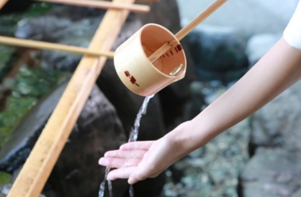 照片來源：小紅書@京都的市川