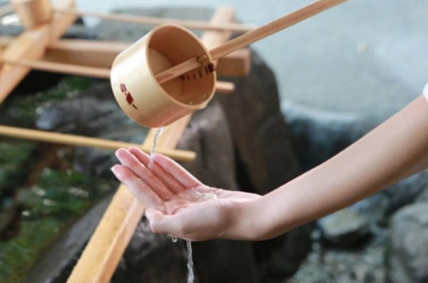 照片來源：小紅書@京都的市川