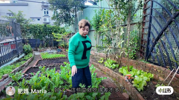 肥媽大埔2000萬豪宅超巨型後花園曝光！自家農田誇張到嚇窒網民︰以為係大陸