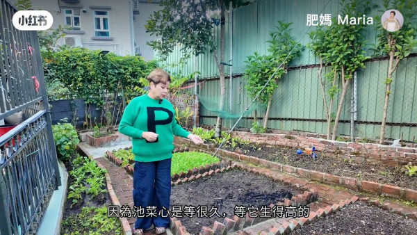 肥媽大埔2000萬豪宅超巨型後花園曝光!自家農田誇張到嚇窒網民︰以為係大陸