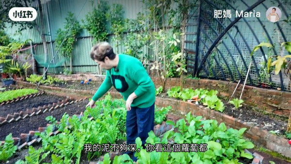 肥媽大埔2000萬豪宅超巨型後花園曝光！自家農田誇張到嚇窒網民︰以為係大陸