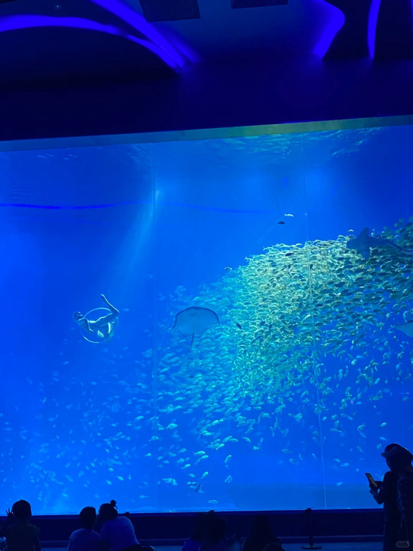 花開花謝@小紅書