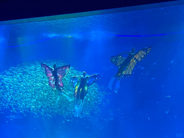 花開花謝@小紅書