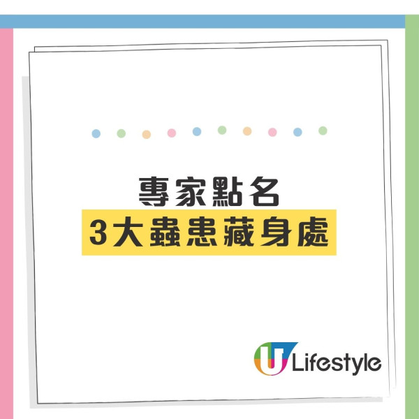 冬天唔見曱甴以為絕跡？專家揭3大黑點分分鐘同你瞓！「回南天」隨時大爆發
