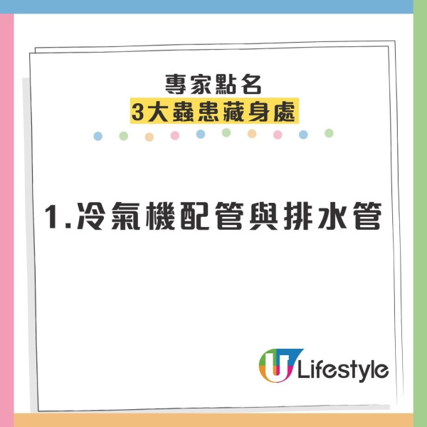 冬天唔見曱甴以為絕跡？專家揭3大黑點分分鐘同你瞓！「回南天」隨時大爆發