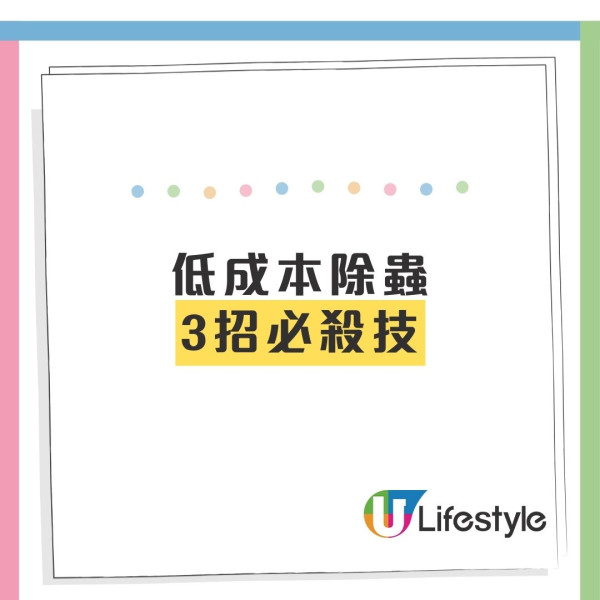 冬天唔見曱甴以為絕跡？專家揭3大黑點分分鐘同你瞓！「回南天」隨時大爆發