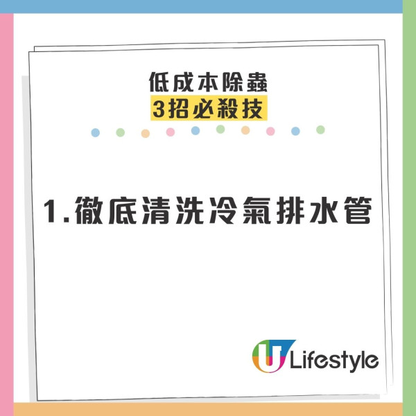 冬天唔見曱甴以為絕跡？專家揭3大黑點分分鐘同你瞓！「回南天」隨時大爆發