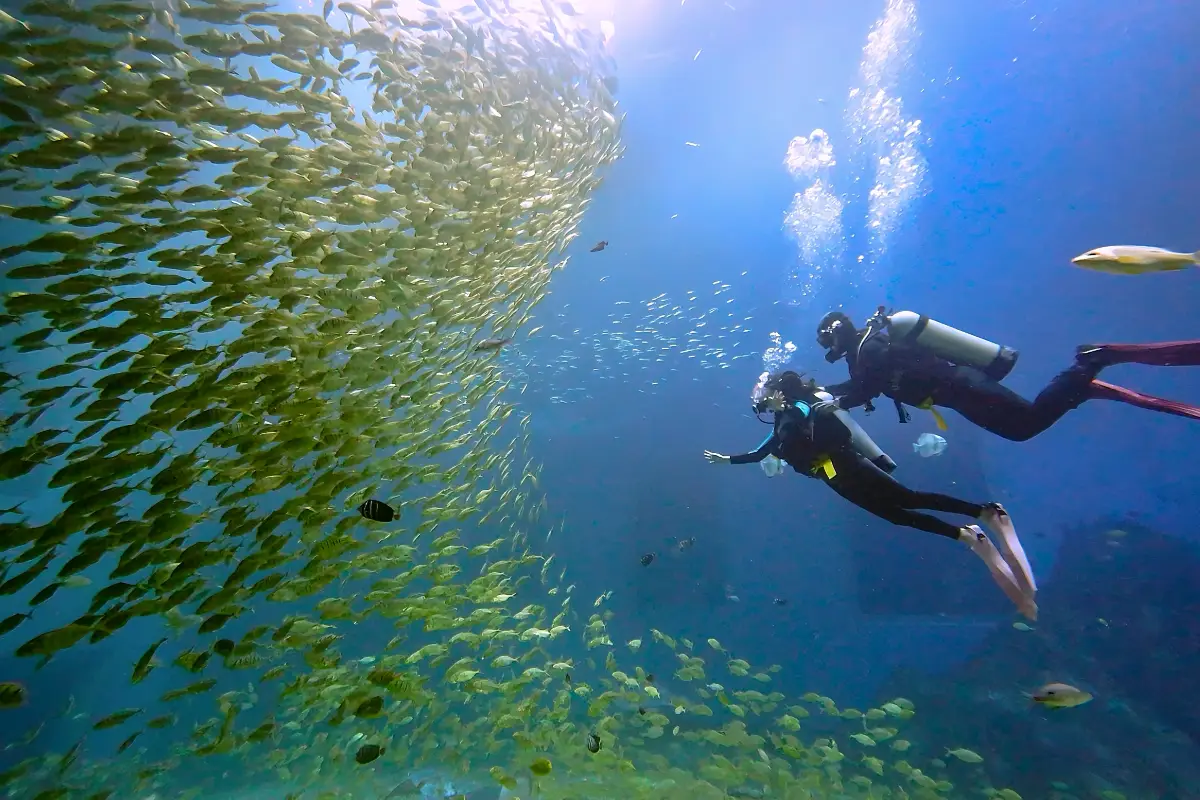 深圳情人節餐廳2026｜食玩平香港一截！10大浪漫打卡推薦景點+情人節餐廳預約攻略 