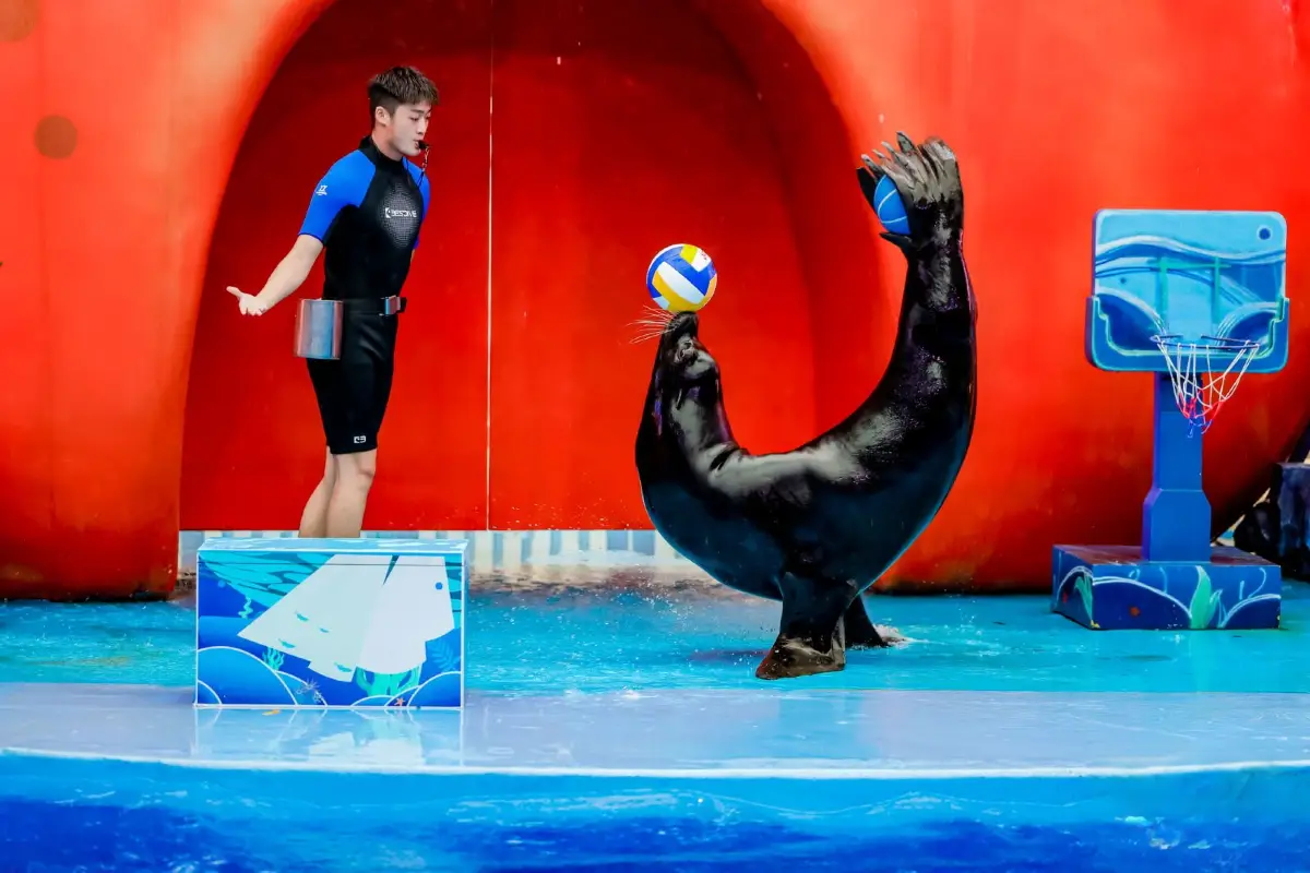 深圳情人節餐廳2026｜食玩平香港一截！10大浪漫打卡推薦景點+情人節餐廳預約攻略 