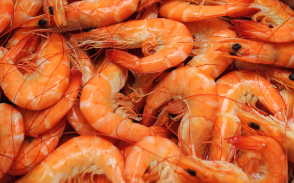 圖片來源：Canva