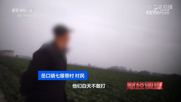 央視踢爆「毒番薯」流入全國！含劇毒藥藥 農戶自爆：一口都不敢吃！專家教4招分辨揀番薯