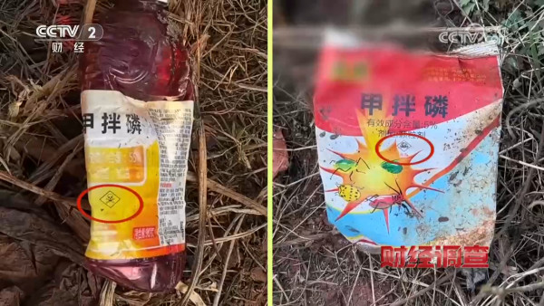 央視踢爆「毒番薯」流入全國！含劇毒藥藥 農戶自爆：一口都不敢吃！專家教4招分辨揀番薯