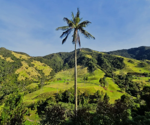 照片來源:小紅書@The two wonderers 照片來源:小紅書@The two wonderers