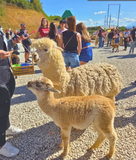 照片來源:小紅書@The two wonderers 照片來源:小紅書@The two wonderers