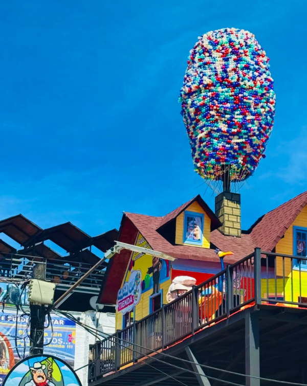 照片來源:小紅書@拔剑四顾先生Stef 照片來源:小紅書@拔剑四顾先生Stef