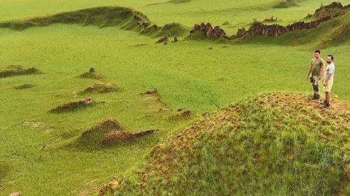 照片來源:Trip.com 照片來源:Trip.com