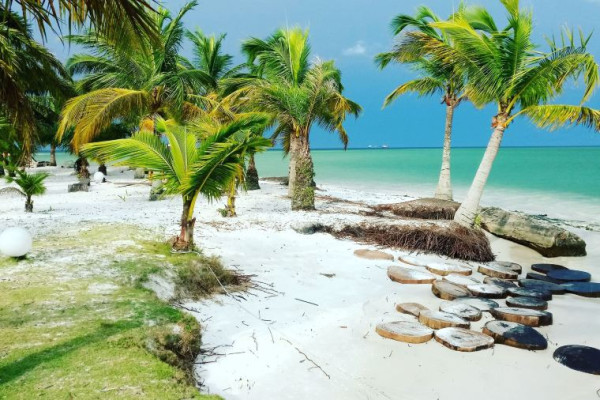 照片來源:Trip.com 照片來源:Trip.com