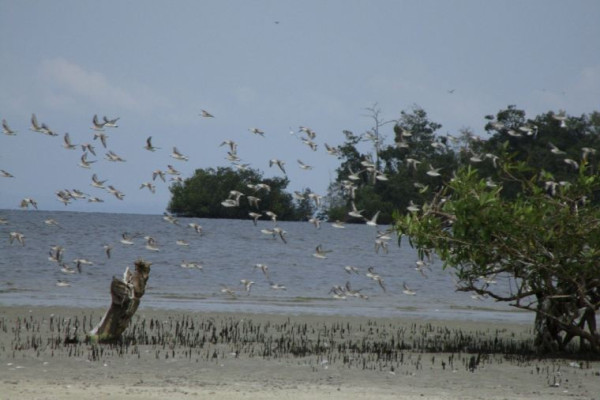 照片來源:Trip.com 照片來源:Trip.com