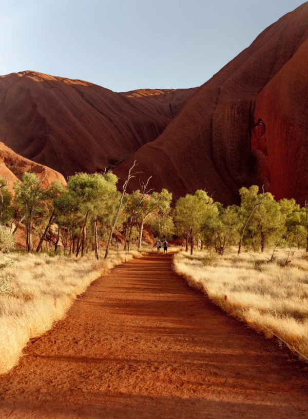 照片來源:小紅書@进口餐具供应商 照片來源:小紅書@进口餐具供应商