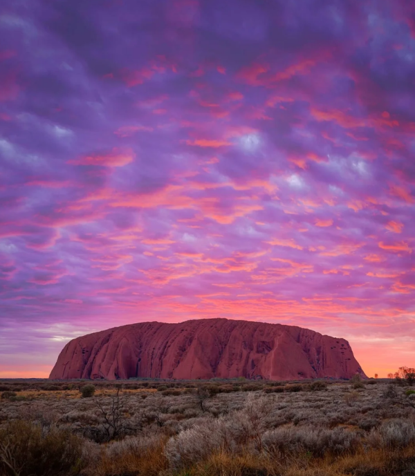 照片來源:小紅書@进口餐具供应商 照片來源:小紅書@进口餐具供应商