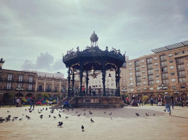 照片來源:小紅書@潘哒多多 照片來源:小紅書@潘哒多多