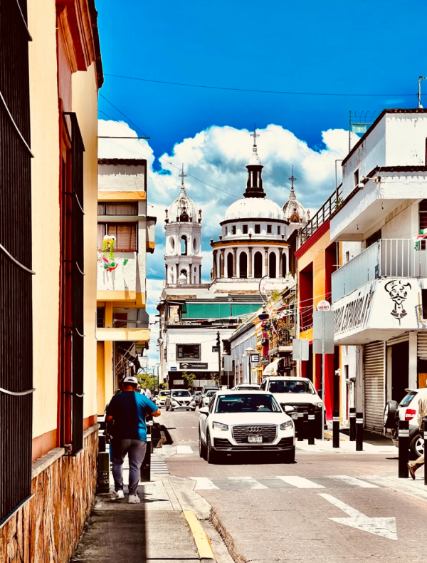 照片來源:小紅書@潘哒多多 照片來源:小紅書@潘哒多多