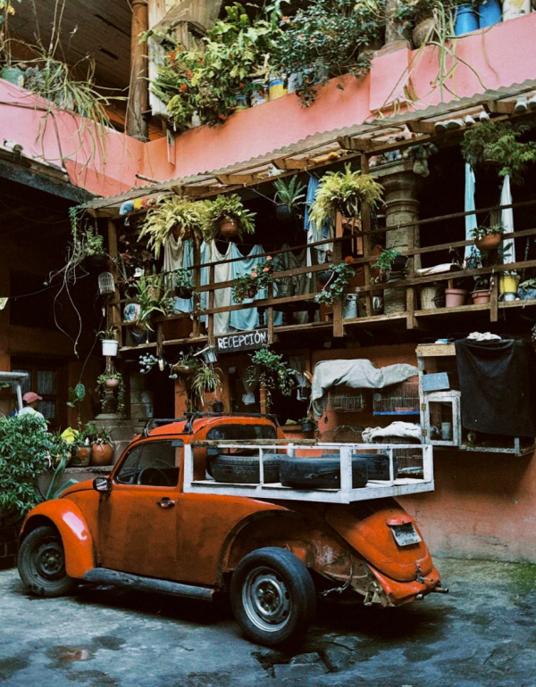 照片來源:小紅書@潘哒多多 照片來源:小紅書@潘哒多多