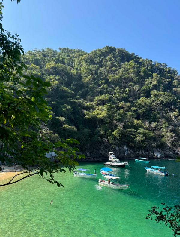 照片來源:小紅書@Leo 照片來源:小紅書@Leo