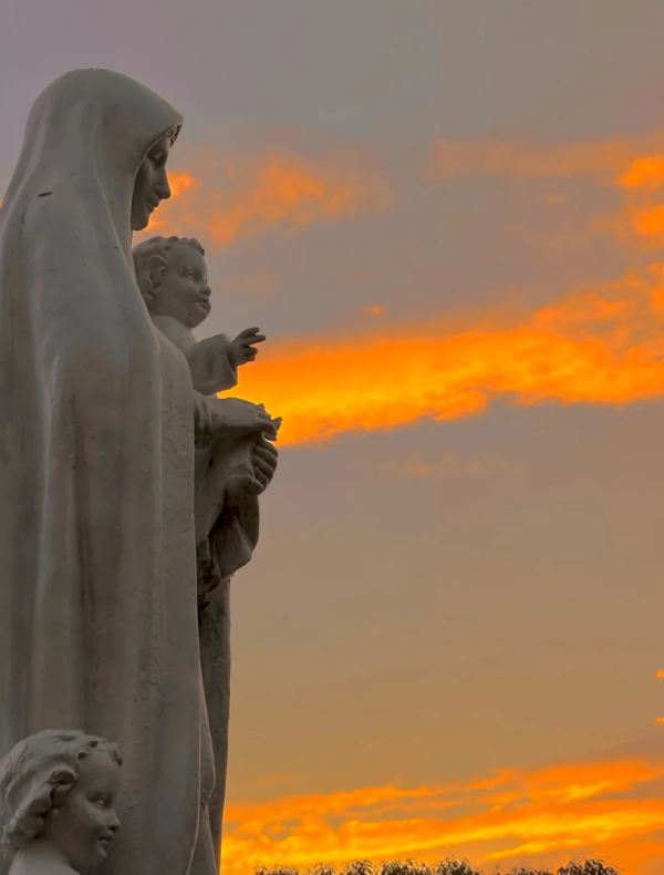 照片來源:小紅書@弓三 照片來源:小紅書@弓三