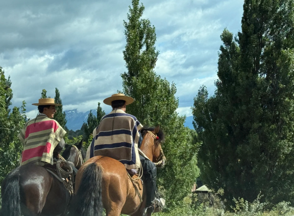 照片來源:小紅書@MiMi野蛮生长中 照片來源:小紅書@MiMi野蛮生长中