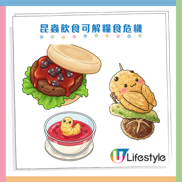 未來糧食｜蜂蛹味似蒲燒鰻魚？專家：蟲屎沖茶超香甜！蛋白質勝牛肉 醫生警告：2類人千萬別吃