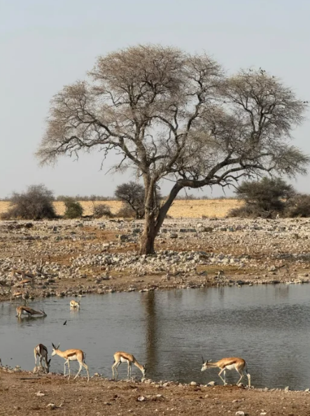 照片來源:小紅書@Liang_hhh 照片來源:小紅書@Liang_hhh